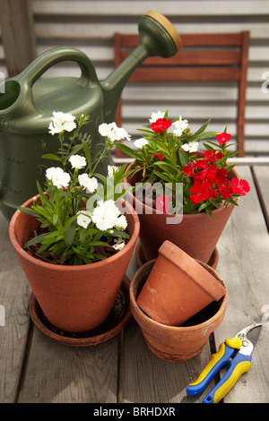 Topfpflanzen und Gartengeräte auf Dach Gartentisch Stockfoto