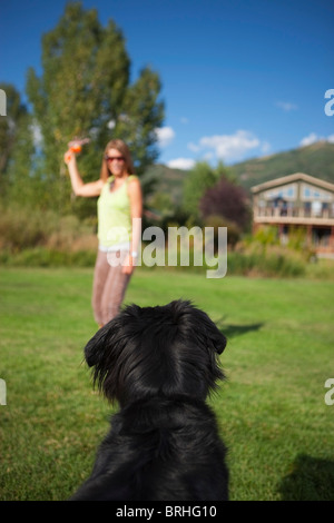 Frau spielt holen mit ihrem Hund, Steamboat Springs, Colorado, USA Stockfoto