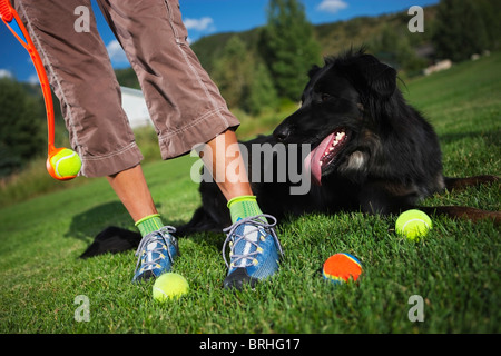 Frau spielt holen mit ihrem Hund, Steamboat Springs, Colorado, USA Stockfoto