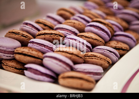 Schachtel Macarons Stockfoto