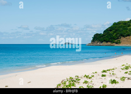 Darkwood Strand, Antigua, West Indies, Karibik, Mittelamerika Stockfoto