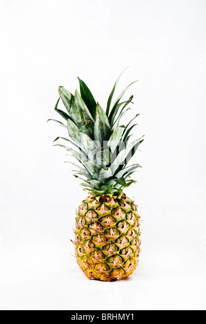 Eine einzelne Ananas isoliert auf weiss Stockfoto