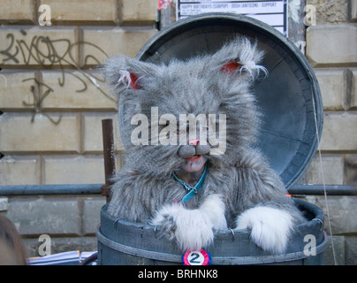 Streetart-Künstler führt verkleidet als Katze, tun, Bristol, Bristol, UK Stockfoto