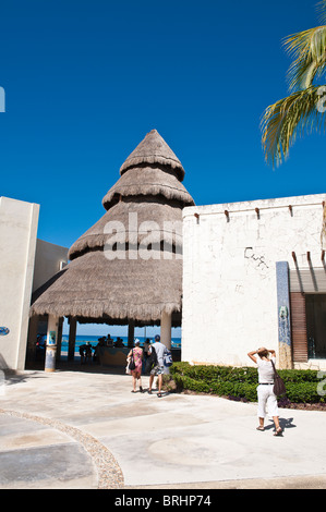 Mexiko, Cozumel. Delfinbeobachtung im Chankanaab Park, Isla Cozumel Cozumel Island. Stockfoto