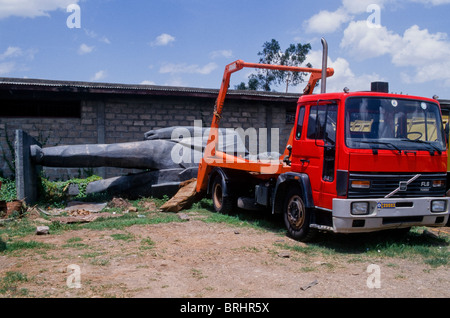 Eine Statue von Lenin übrig geblieben aus den Jahren Mengistu liegt schlafend in der Arbeit Hof in Addis Abeba. Äthiopien Stockfoto