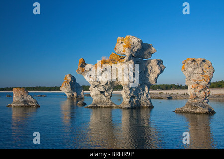 Erodierte Seastacks in Gamla Hamnøya in Fårö, Schweden Stockfoto