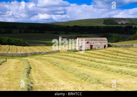 frisch gemähtem Feld in Wensleydale zeigen einzelne Scheune mit roten Türen Stockfoto