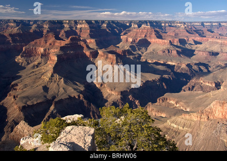 Arizona, Grand Canyon National Park, Grand Canyon Village, Canyon-Blick vom Pima Point Stockfoto