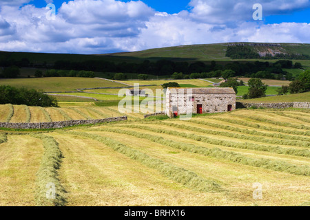 frisch gemähtem Feld in Wensleydale zeigen einzelne Scheune mit roten Türen Stockfoto