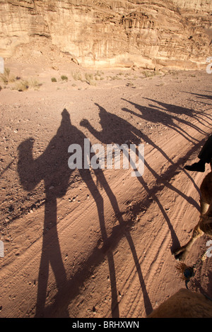 Kamel-Reise in Wadi Rum, Jordanien. Stockfoto