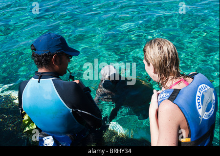 Mexiko, Cozumel. Delfinbeobachtung im Chankanaab Park, Isla Cozumel, Cozumel Island. Stockfoto