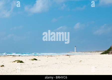 Mexiko, Cozumel. Punta Celerain Leuchtturm, Playa Punta Sur Park Isla de Cozumel (Insel Cozumel). Stockfoto