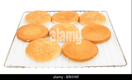 Burger-Brötchen auf Backblech isoliert auf weißem Hintergrund Stockfoto