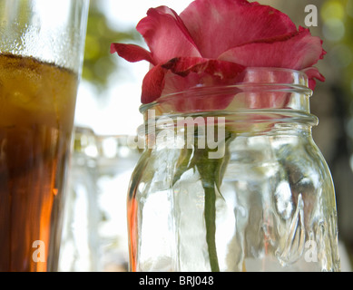 Eine Blume in ein Glas neben einem Krug Eistee auf ein Picknick in einem Park befindet. Stockfoto