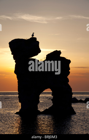 Erodierte Seastacks in Gamla Hamnøya bei Sonnenuntergang in Fårö, Schweden Stockfoto