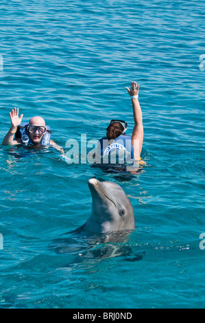 Mexiko, Cozumel. Dolphin Discovery Chankanaab Park, Isla de Cozumel (Insel Cozumel). Stockfoto