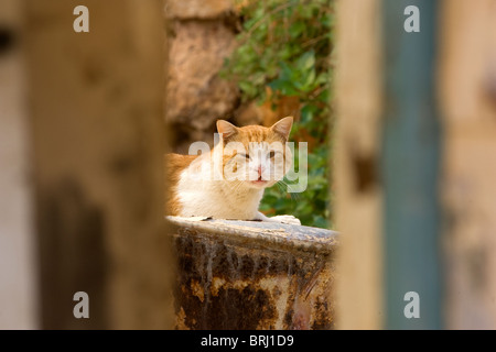 Ein Blick von Chania, die zweitgrößte Stadt der griechischen Insel Kreta. Stockfoto