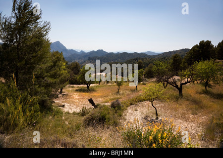 Blick auf die spanische Landschaft mit blauem Himmel aus Sierra Forada, Costa Blanca, Spanien Stockfoto