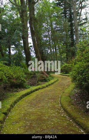 Parque Terra Nostra in Furnas, San Miguel, Azoren, Portugal. Stockfoto