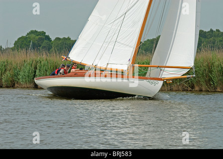 Broads Cruiser im Wettbewerb mit der 50. Jubiläumsrennen 3 Flüsse. Stockfoto