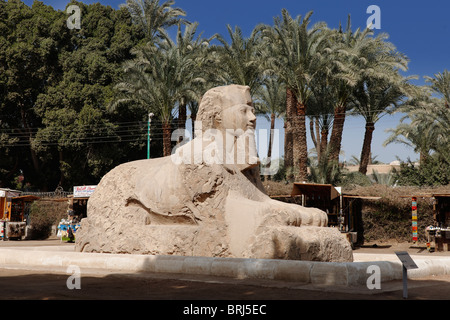 Alabaster Sphinx, Memphis, Ägypten, Arabien, Afrika Stockfoto