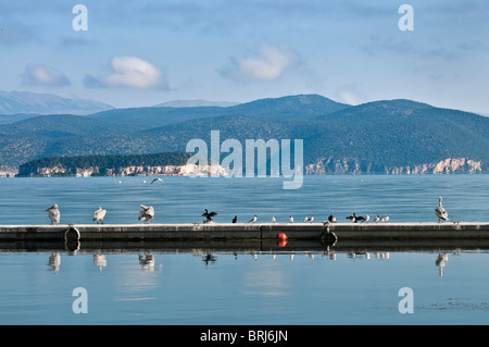 Blick über Prespa See am nördlichen Psaradhes, Mazedonien, Griechenland. Stockfoto