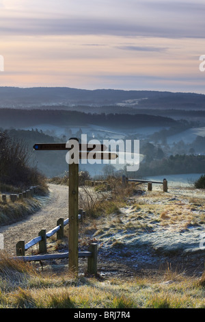 Ein Zeichen der North Downs Way in Newlands Ecke an einem frostigen und nebligen Morgen an Weihnachten Stockfoto