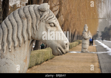 Pferd-Statue auf dem Geist Weg, die Ming-Gräber in Peking China Stockfoto