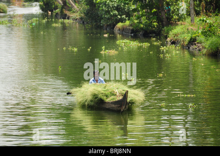 Süd-Indien-Mai 2010-Kerala und Tamil Nadu. Dies sind die berühmten Strände und Backwaters. Chinesische Fischernetze Stockfoto