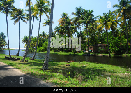 Süd-Indien-Mai 2010-Kerala und Tamil Nadu. Dies sind die berühmten Strände und Backwaters. Chinesische Fischernetze Stockfoto