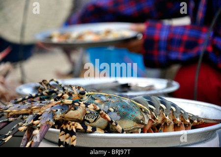 Hummer, die darauf warten, am Strand von Nha Trang in Vietnam serviert werden Stockfoto