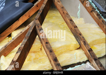 Holz "Hip" Dachbinder und Fiberglas Isolierung von außen gesehen Stockfoto