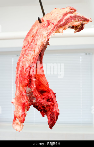 frisches Rindfleisch Rippen an großen Haken hängen Stockfoto