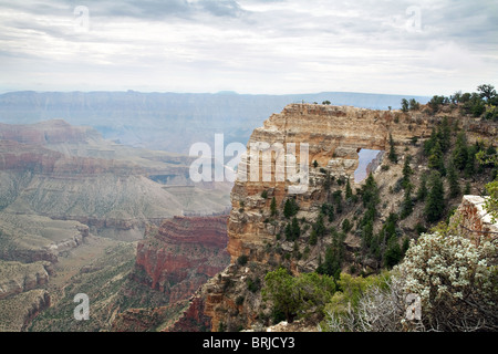 Engel Fenster, Cape Royal, Grand Canyon North Rim, Arizona, USA Stockfoto