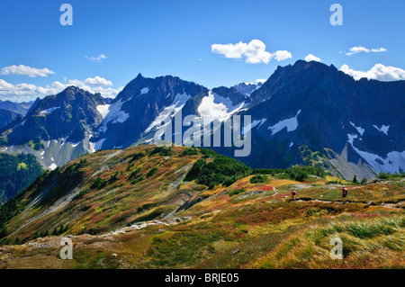 Wanderer auf Sahale Arm Trail über Cascade Pass, North Cascades National Park, Washington. Stockfoto