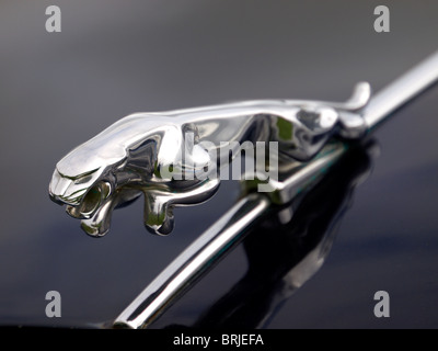 Jaguar Auto Emblem auf der Motorhaube eines Autos Stockfoto