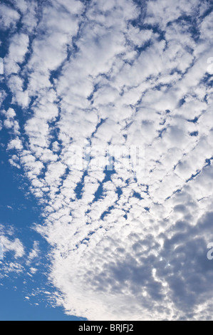 Makrele Himmel / Altocumulus Wolken Bildung - Frankreich. Stockfoto