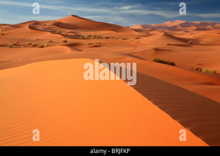 Morgenlicht macht den Sand in den Erg Chebbi-Dünen in der Nähe von Merzouga in Marokko Leuchten Stockfoto