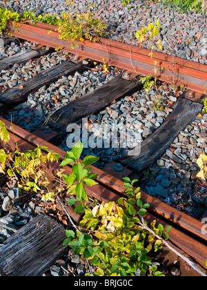 Am Ende der Zeile / stillgelegten Eisenbahnstrecke - Frankreich. Stockfoto