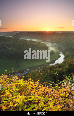 Einem nebligen Herbstmorgen über den River Wye, wie aus Symonds Yat in Gloucestershire Stockfoto