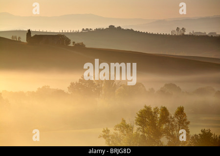 Sunrise-Licht wärmt die neblige Täler rund um Pienza in der Val D'Orcia Region der Toskana, Italien Stockfoto