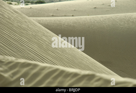 Sanddünen Stockfoto