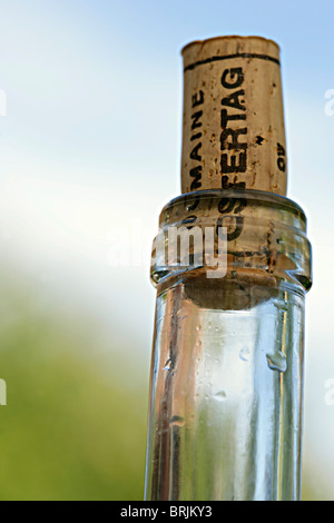 Flasche Stockfoto