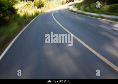 Straße, Boquete, Chiriqui, Panama Stockfoto