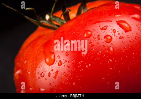 frische reife Tomate auf schwarz Stockfoto