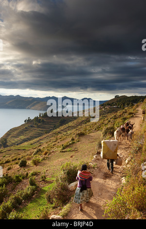 Isla del Sol, Titicacasee, Bolivien Stockfoto