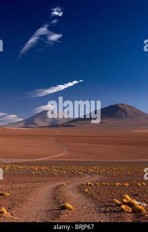 der Weg zum Ojo de Perdiz, hoch oben auf dem Altiplano in Bolivien Stockfoto