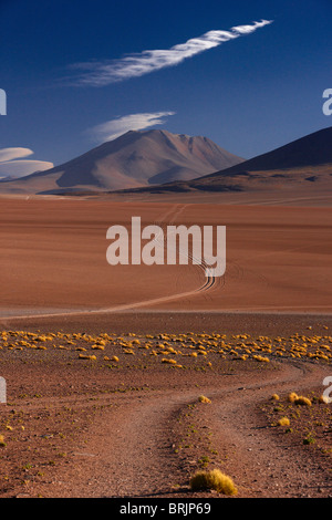 der Weg zum Ojo de Perdiz, hoch oben auf dem Altiplano in Bolivien Stockfoto