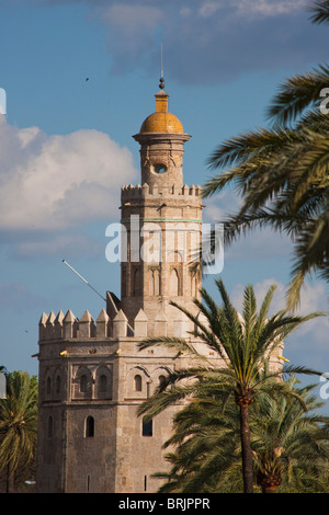 Torre del Oro in Sevilla Spanien Stockfoto