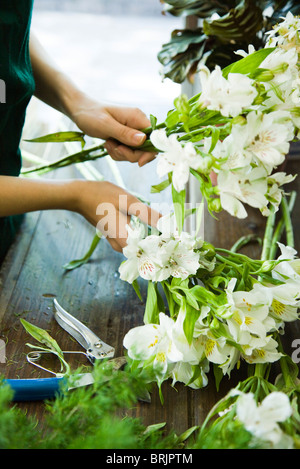 Vermittlung von Blumen Stockfoto